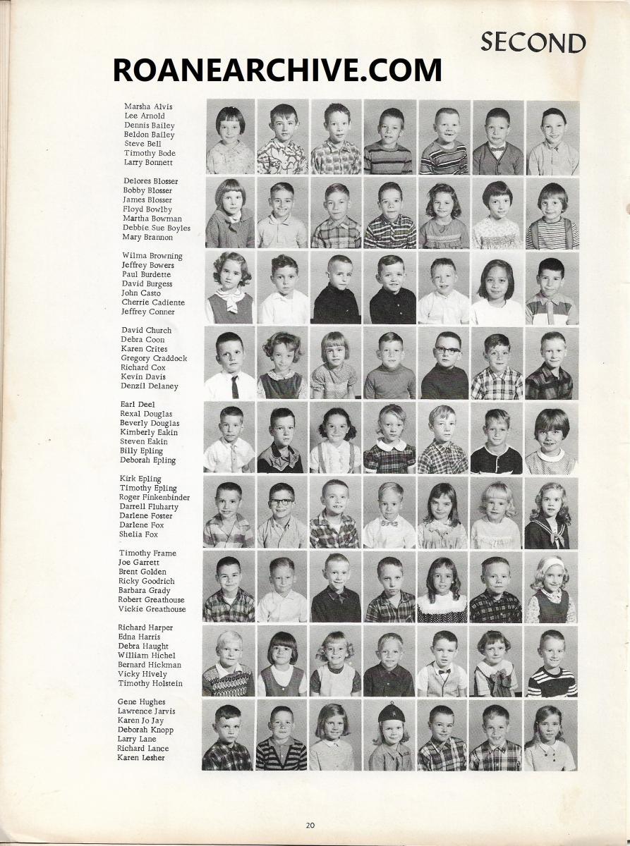 Image-19
