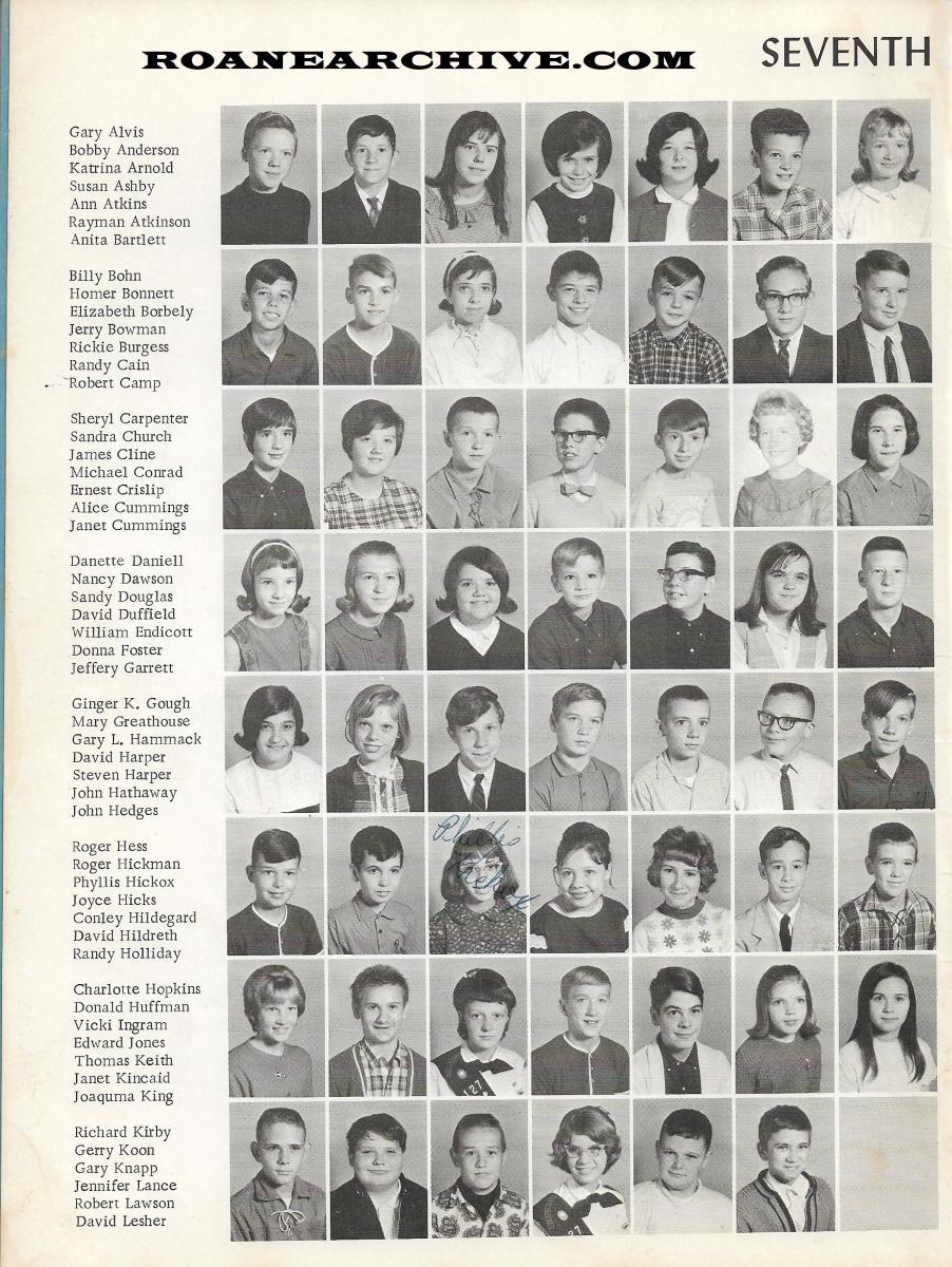 Image-5